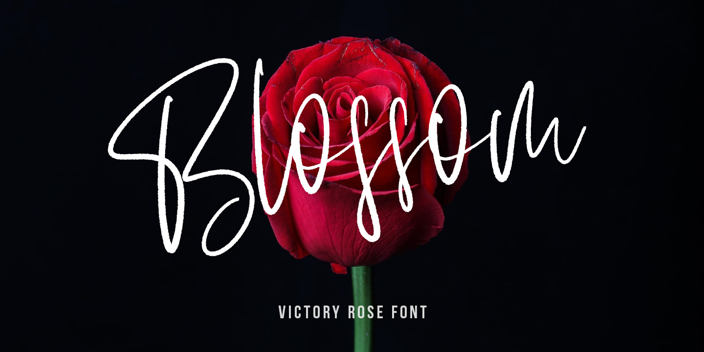 Ejemplo de fuente Victory Rose #2